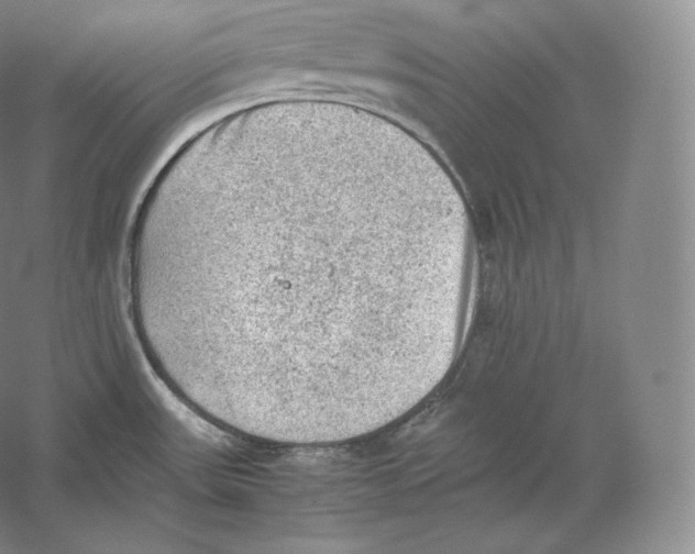 X0000059231531200511111535