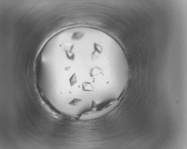 X0000059231532200511111535