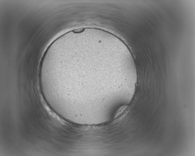 X0000059231534200511111535