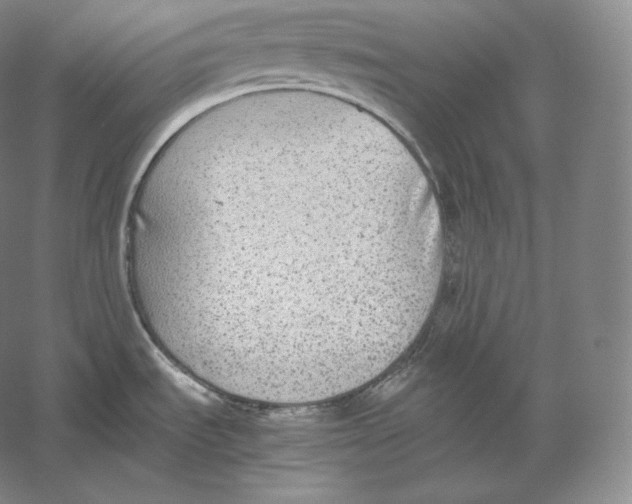 X0000059231535200511111535