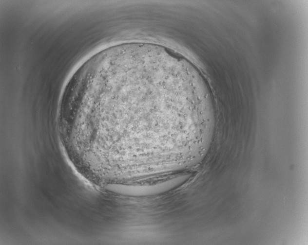 X0000059231536200511111535