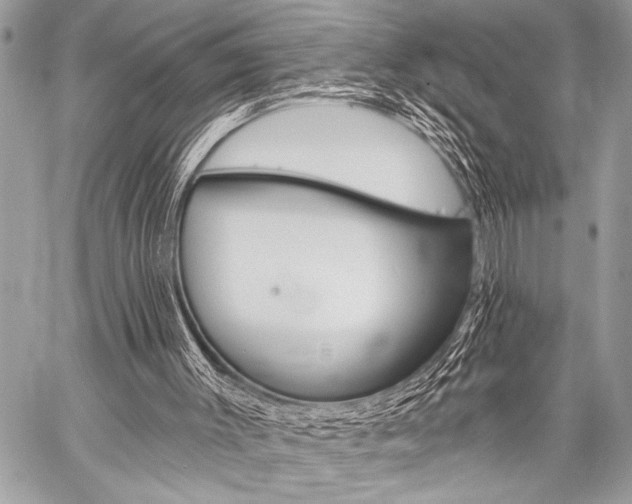 X0000059240003200510140832