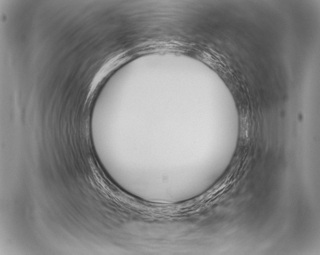 X0000059240004200510140832