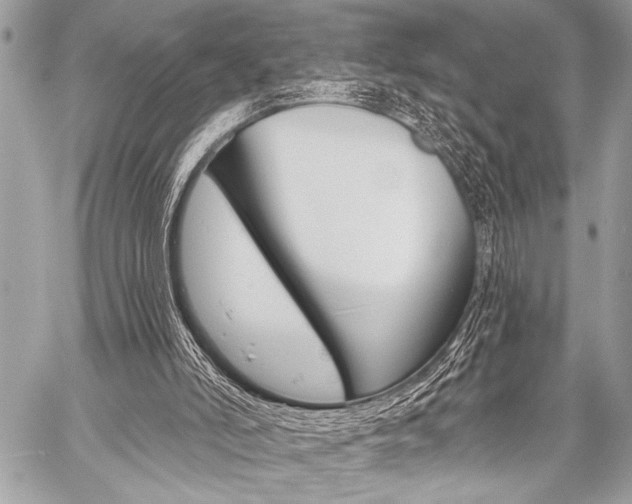 X0000059240006200510140832