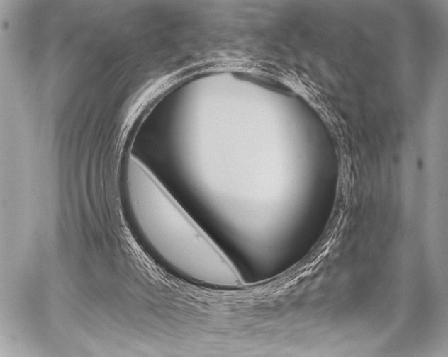 X0000059240007200510140832