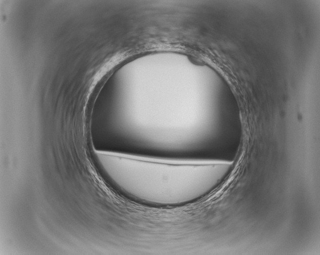 X0000059240008200510140832