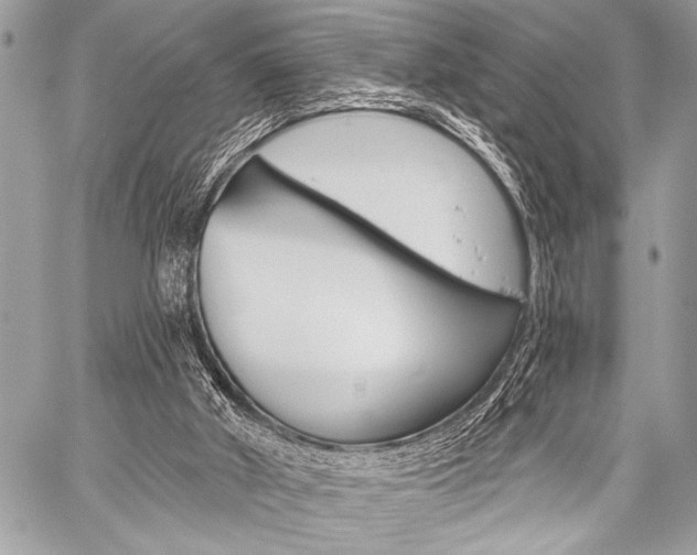 X0000059240010200510140832