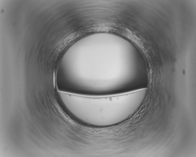 X0000059240013200510140832