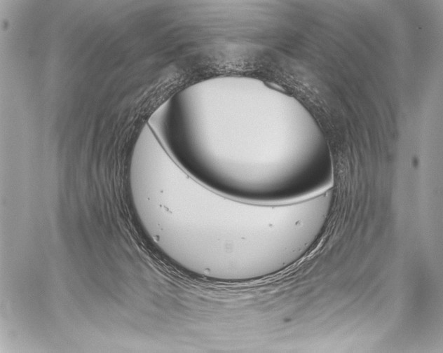 X0000059240029200510140831
