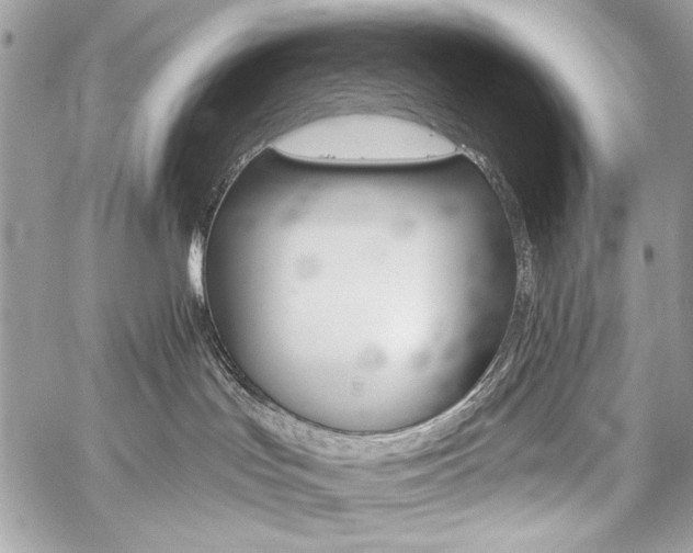 X0000059240047200510140831