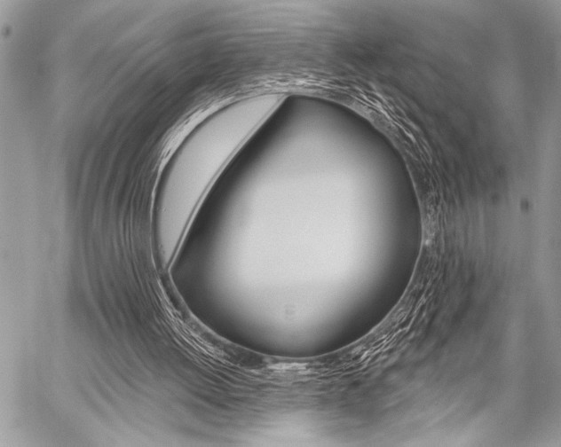 X0000059240052200510140830