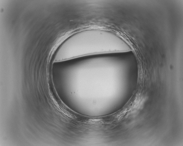 X0000059240055200510140830