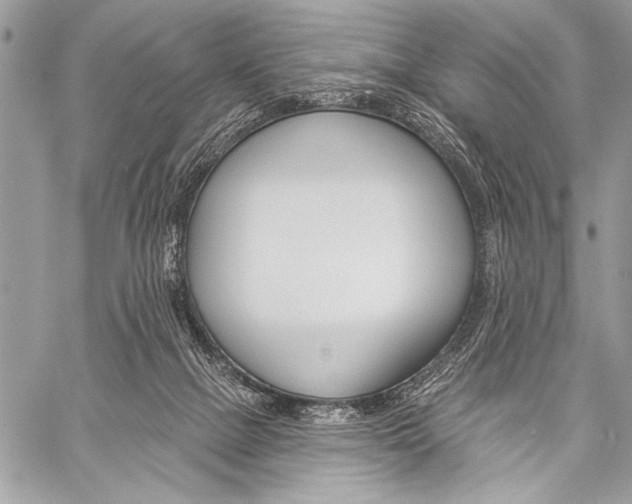 X0000059240073200510140831
