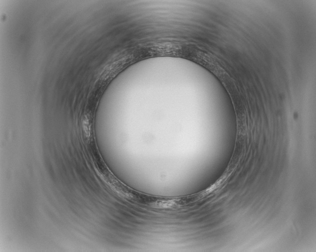 X0000059240086200510140831