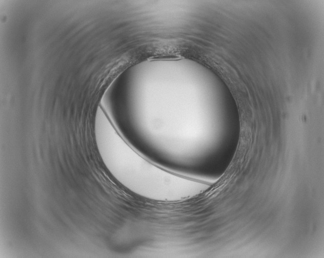 X0000059240096200510140831