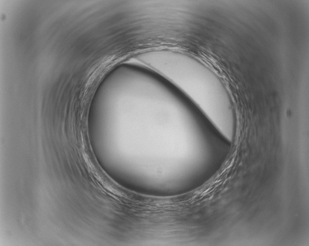 X0000059240097200510140830