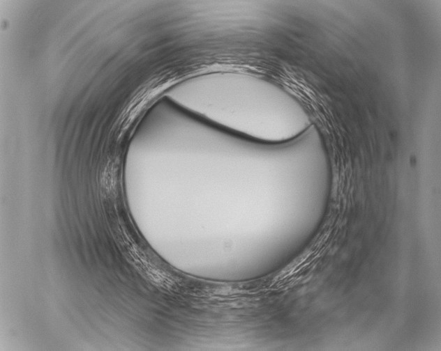 X0000059240098200510140830