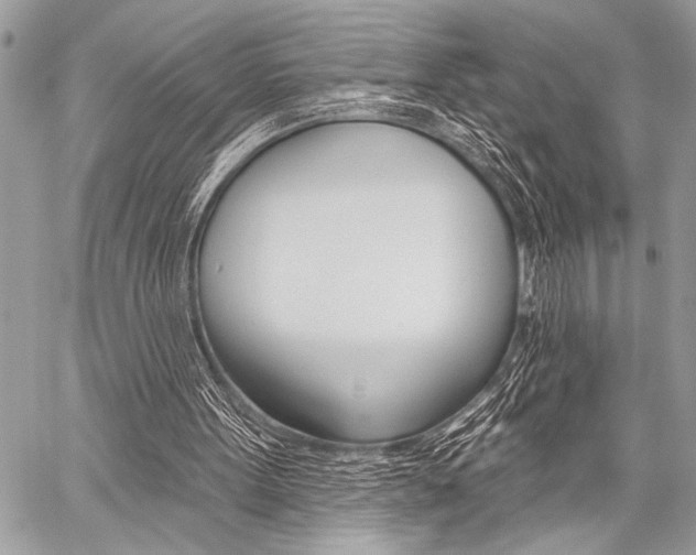 X0000059240099200510140830