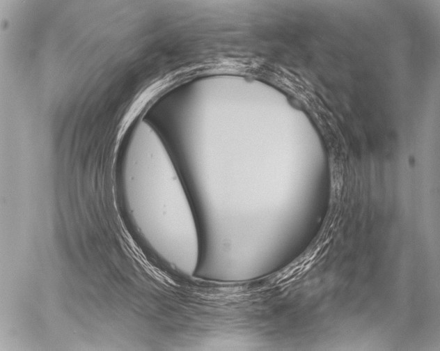 X0000059240102200510140830