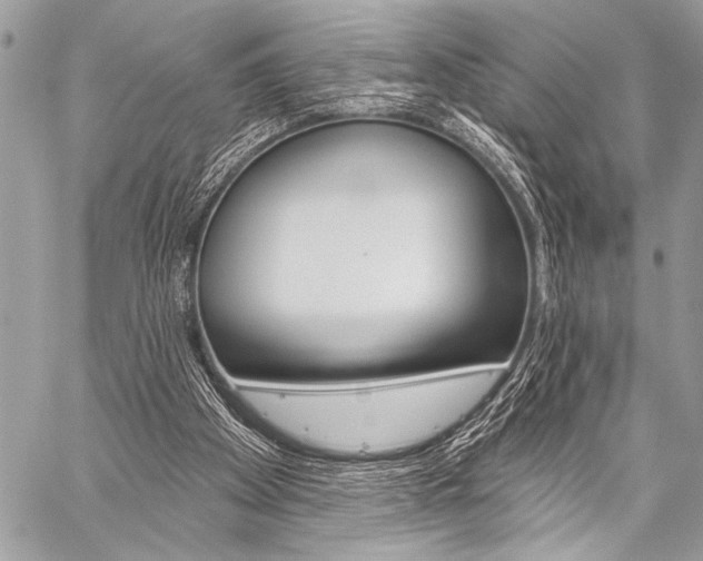 X0000059240105200510140830