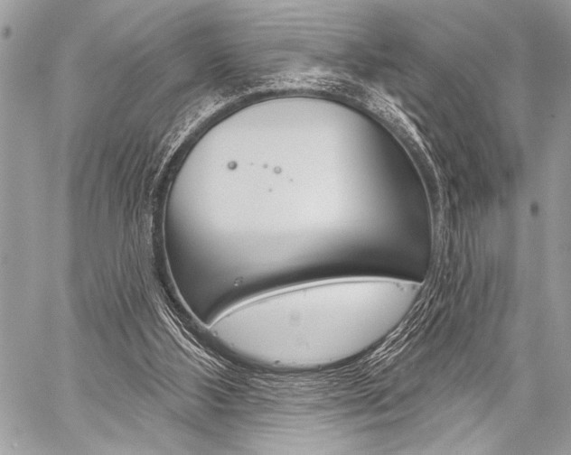 X0000059240108200510140830