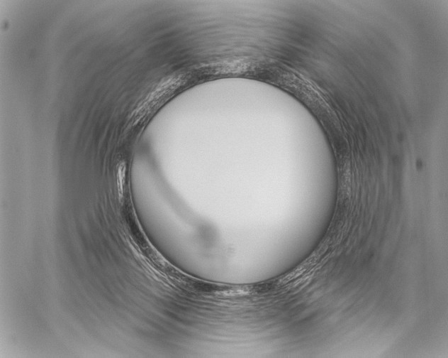 X0000059240118200510140830