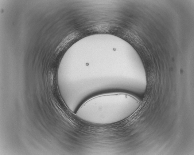 X0000059240120200510140830