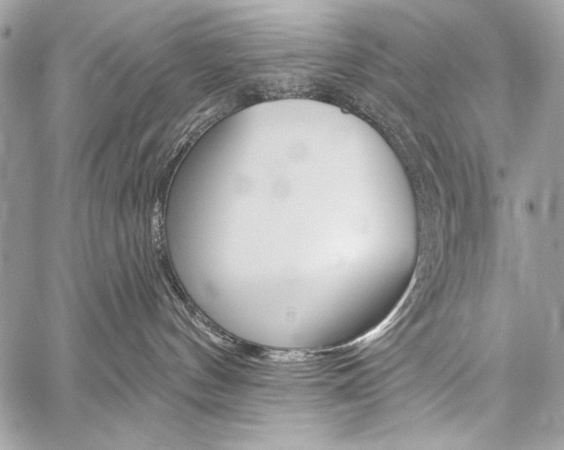 X0000059240144200510140830