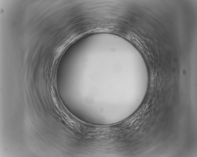 X0000059240145200510140829