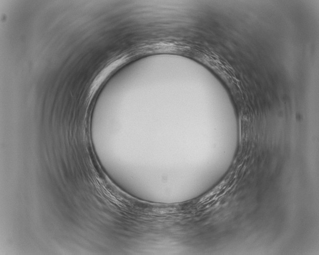 X0000059240147200510140829