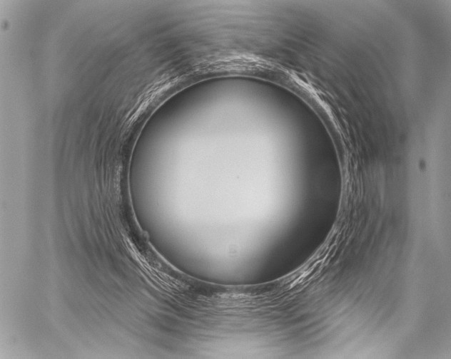 X0000059240154200510140829