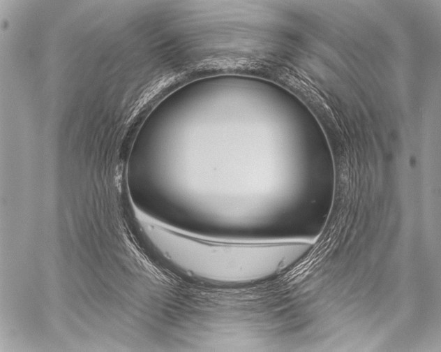 X0000059240160200510140829
