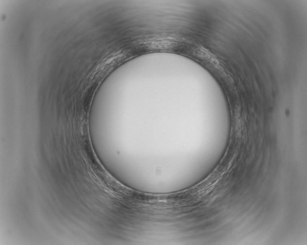 X0000059240161200510140829