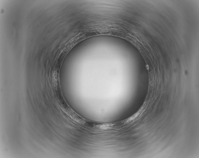 X0000059240184200510140829