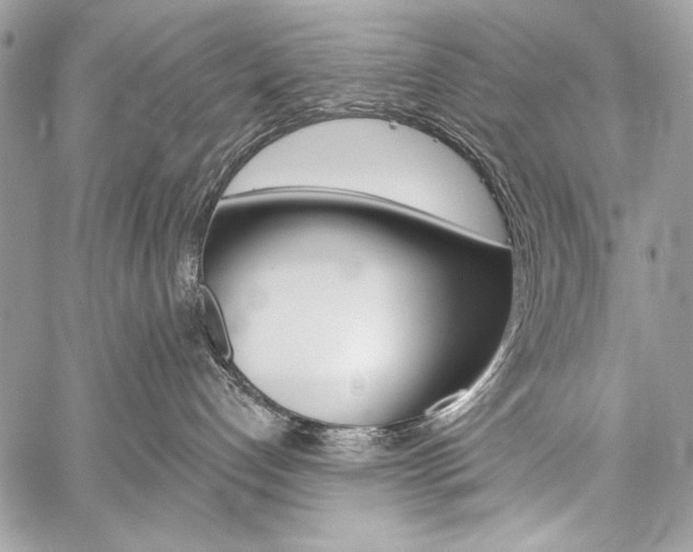 X0000059240192200510140830