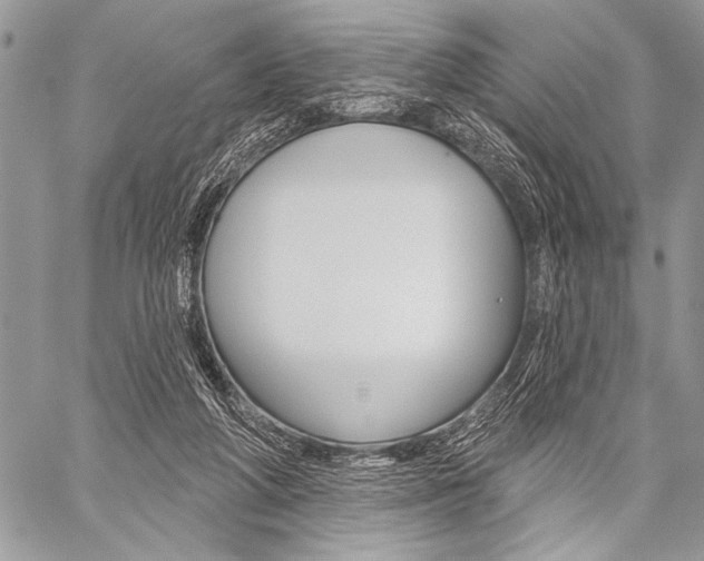 X0000059240210200510140828