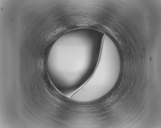 X0000059240211200510140828