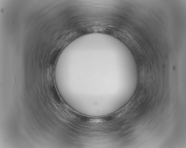 X0000059240218200510140828