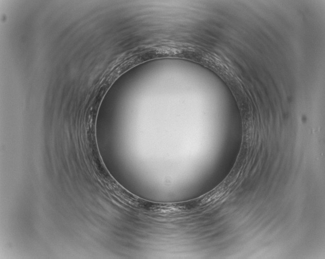 X0000059240229200510140828