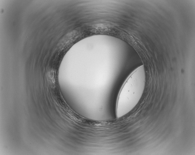 X0000059240232200510140828