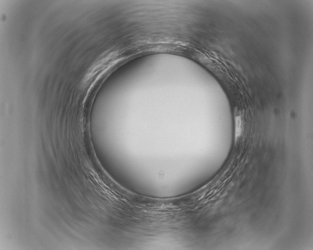 X0000059240243200510140827