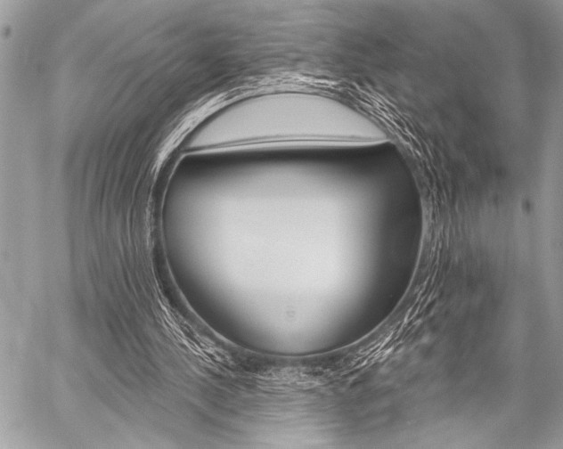 X0000059240244200510140827