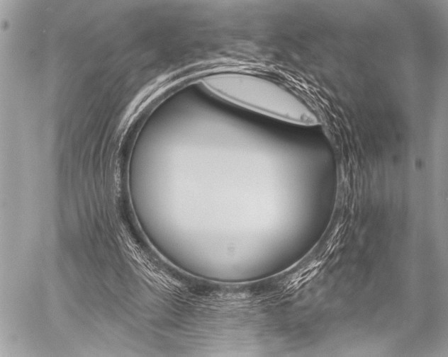 X0000059240247200510140827