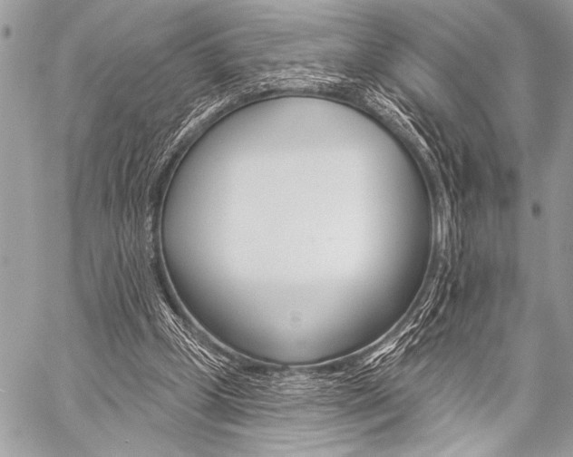 X0000059240249200510140827