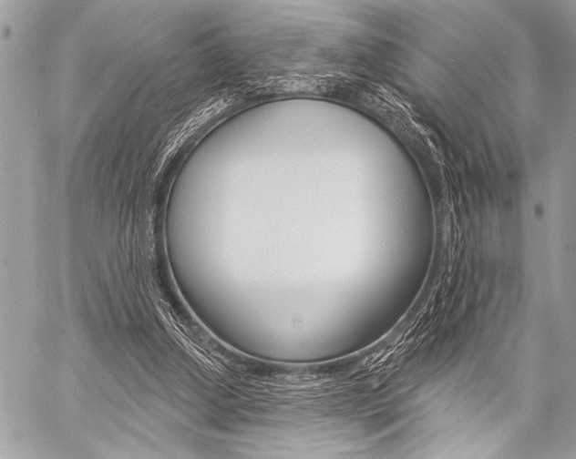 X0000059240250200510140827