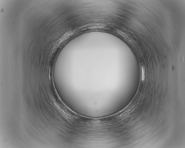 X0000059240253200510140827