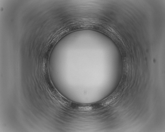 X0000059240266200510140828