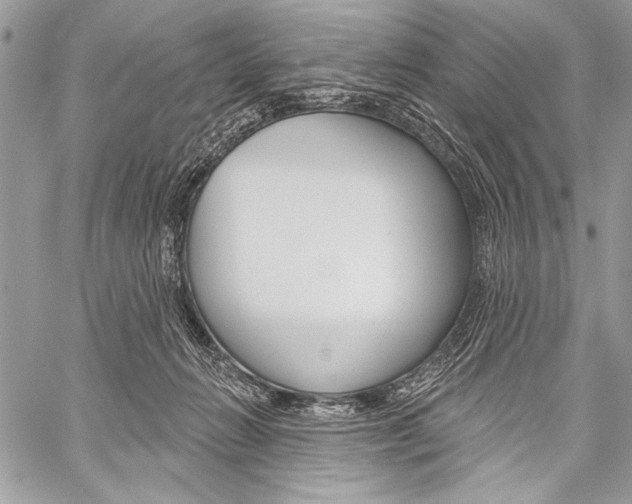 X0000059240270200510140828