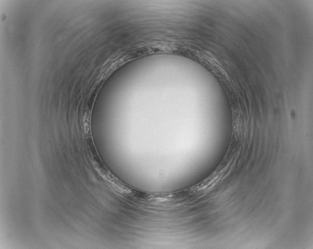 X0000059240285200510140828