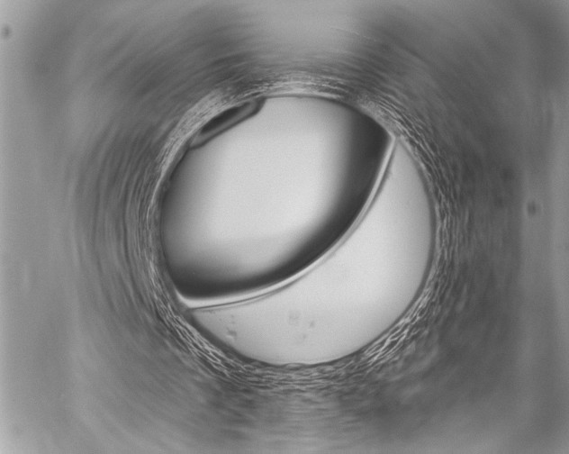 X0000059240289200510140827